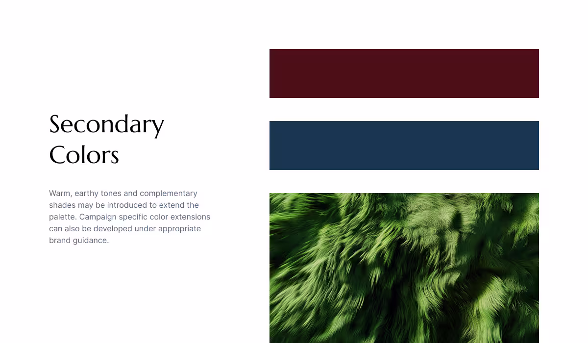 Secondary color palette and accent tones